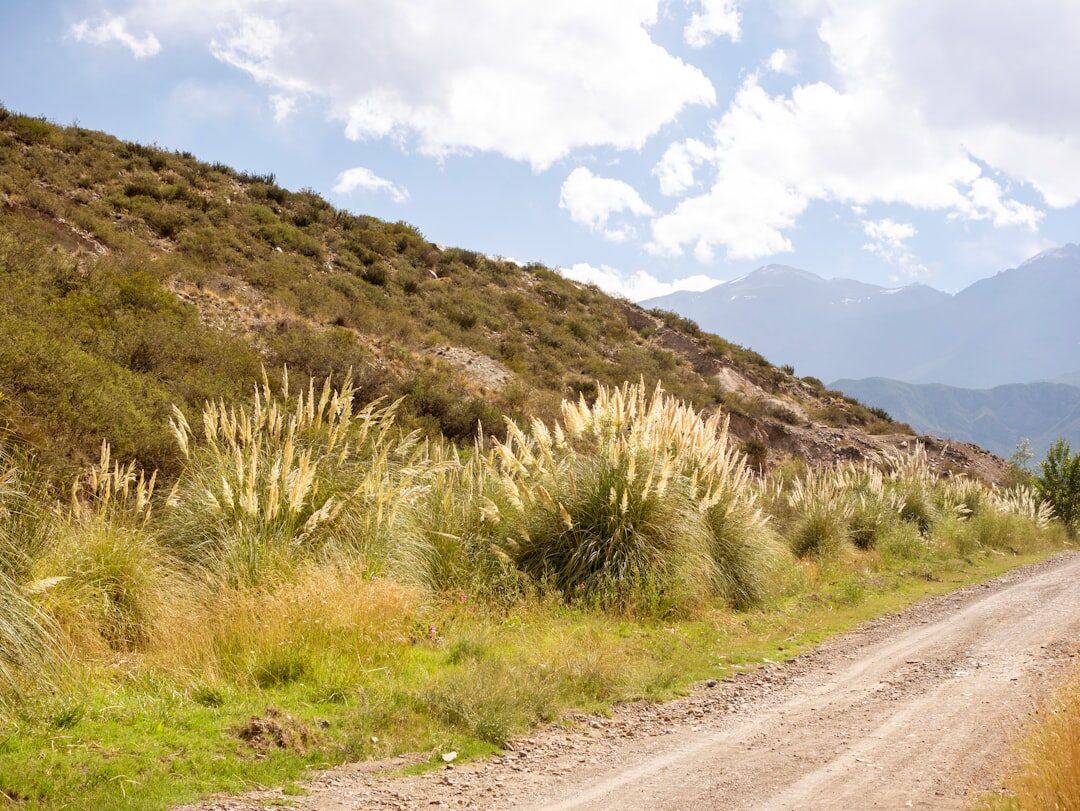 argentine pampas landscape