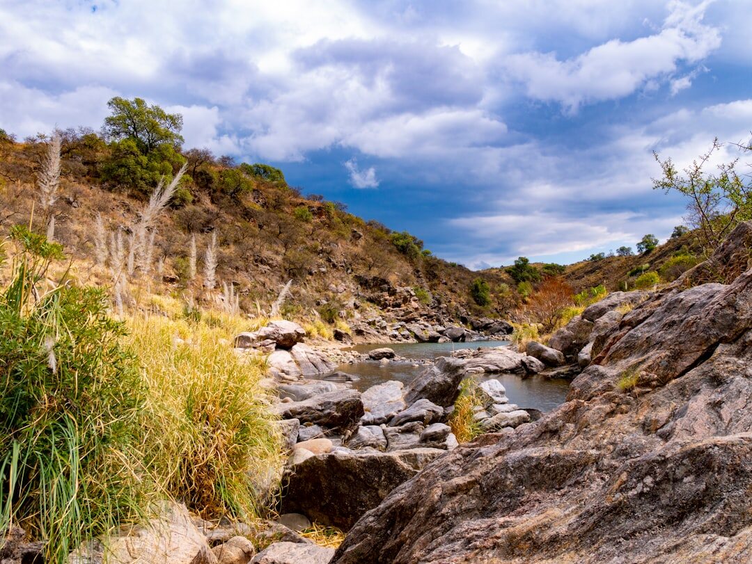 argentine pampas landscape